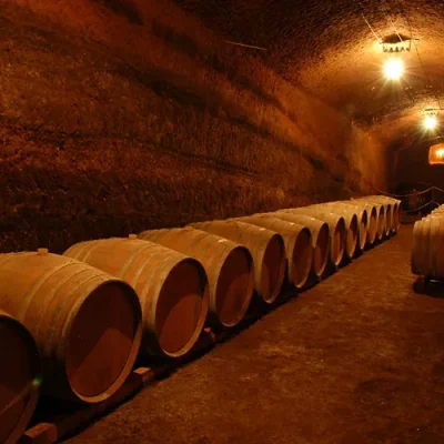 Botti di vino Botti di vino