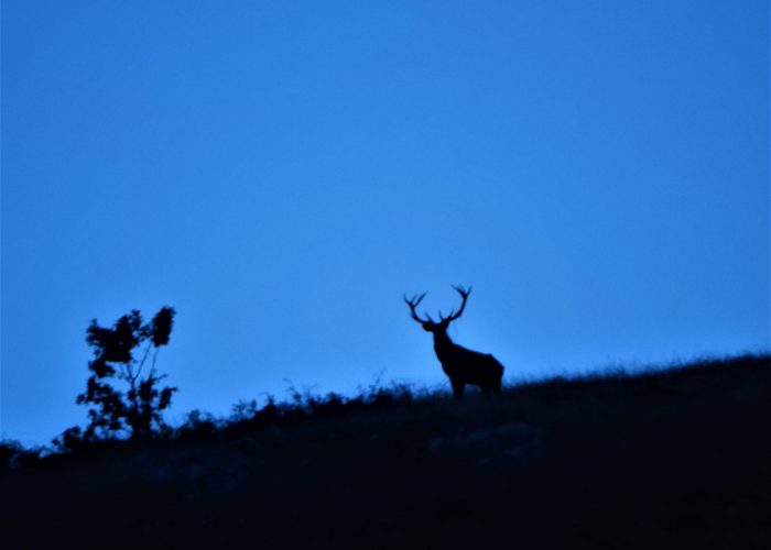 Parco Nazionale d'Abruzzo