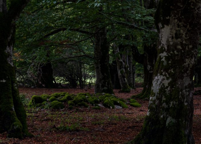 Parco Nazionale d'Abruzzo