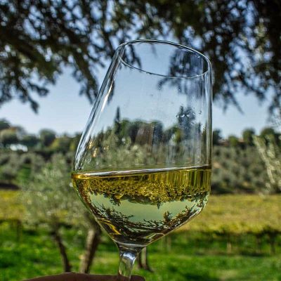 Wine Tasting in Frascati Wine Tasting in Frascati