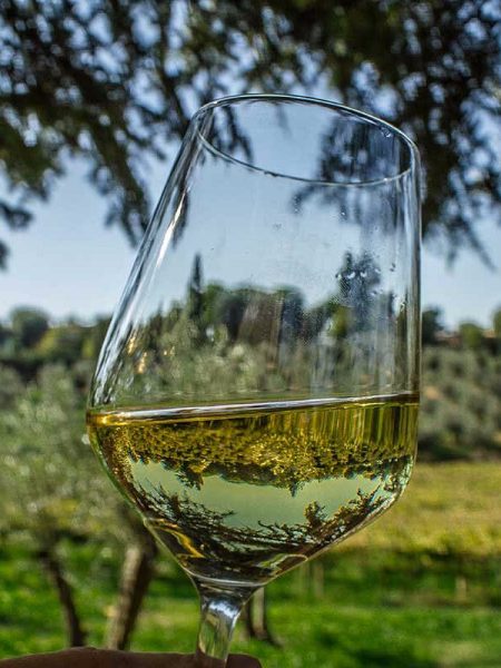 Wine Tasting in Frascati Wine Tasting in Frascati