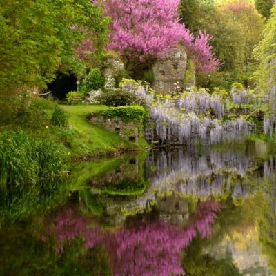 Sermoneta – Giardino di Ninfa Sermoneta - Giardino di Ninfa